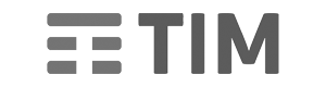 tim-grigio